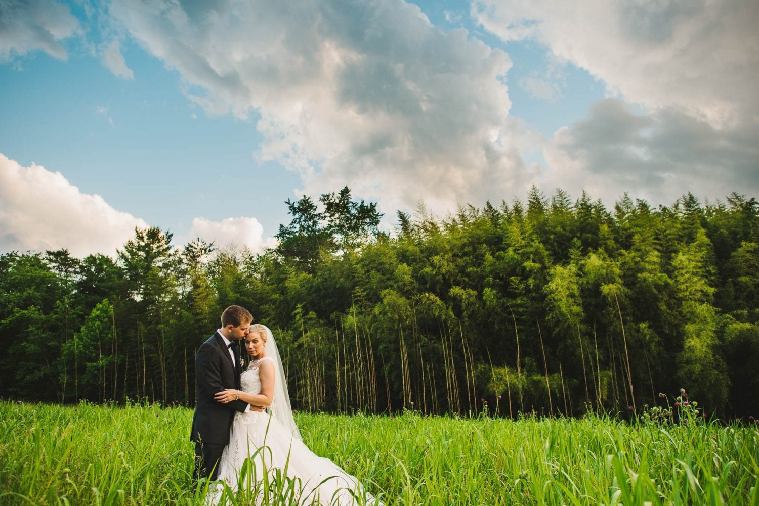 Wedding photography in a field with bamboo