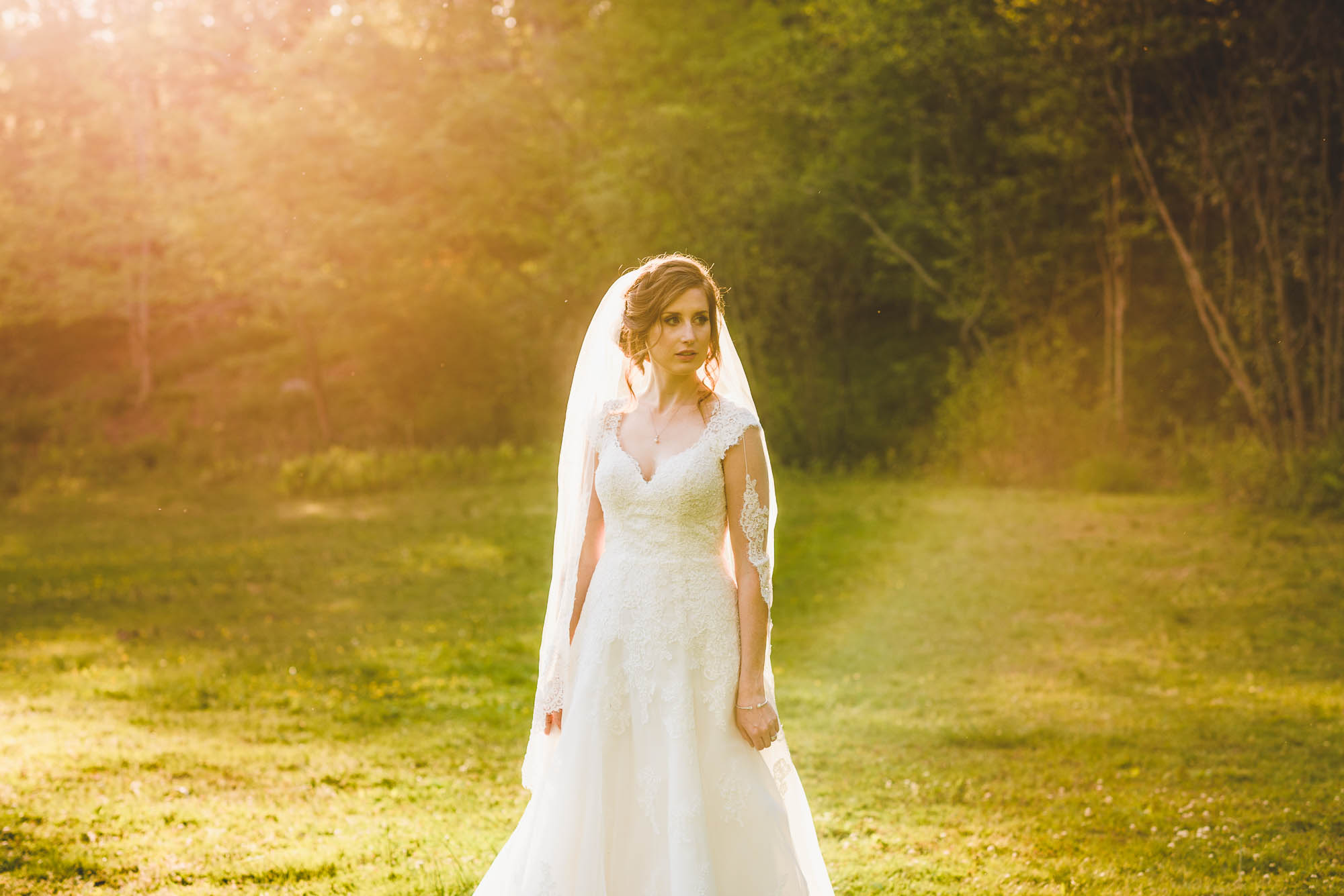 Sunflare wedding photo